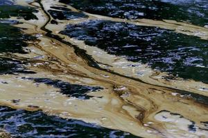 la fuoriuscita di petrolio nel Golfo è mostrata su una spiaggia foto