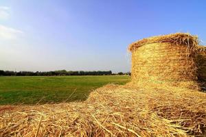 balle di paglia su terreni agricoli con cielo nuvoloso blu foto