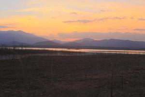 albero della siluetta del tramonto sul lago foto