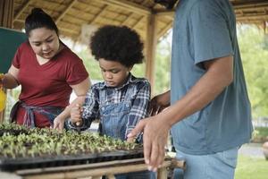 La famiglia di agricoltori afroamericani insegna al figlio a piantare piantine in appezzamenti di vivai per l'orto per l'apprendimento dell'ecologia della natura, hobby del giardiniere biologico, felice insieme all'agricoltura infantile. foto