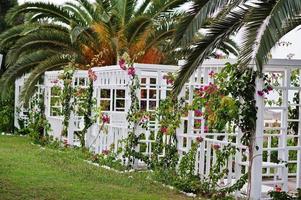 cabine bianche con fiori e palme al resort turchia. foto