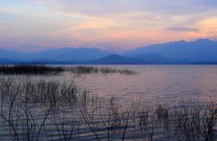 albero della siluetta del tramonto sul lago foto