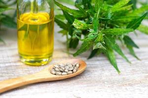 olio di canapa cbd, erba e foglie di cannabis per il trattamento, estratto dall'olio di canapa. foto