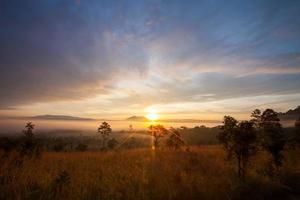 alba nebbiosa mattutina al parco nazionale di thung salang luang phetchabun, il gergo di tung luang è la savana dei prati in Thailandia. foto