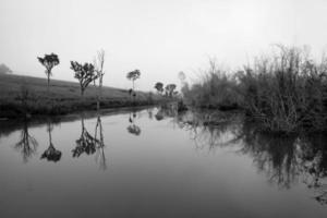 riflessione dell'albero al parco nazionale di thung salang luang phetchabun, Tailandia foto