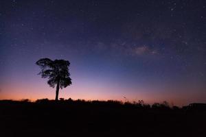 bella via lattea e silhouette di albero su un cielo notturno prima dell'alba foto