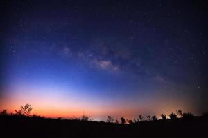 bella via lattea e silhouette di albero su un cielo notturno prima dell'alba foto