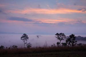 alba nebbiosa mattutina al parco nazionale di thung salang luang phetchabun, tailandia foto