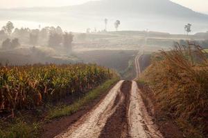 Strada sterrata che conduce attraverso la foresta di inizio primavera in una mattinata nebbiosa a khao takhian ngo punto di vista a khao-kho phetchabun, Tailandia foto