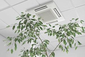 condizionatore d'aria a cassetta per primo piano sul soffitto in un moderno ufficio o appartamento con foglie verdi di piante di ficus. qualità dell'aria interna foto