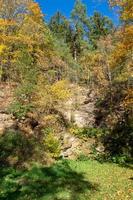 paesaggio forestale con rocce foto