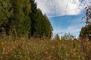 linee elettriche ad alta tensione in campagna foto