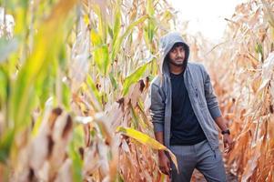 agronomo dell'Asia meridionale che ispeziona l'azienda agricola del campo di mais. concetto di produzione agricola. foto