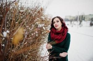 ragazza bruna in maglione verde e sciarpa rossa all'aperto contro i cespugli il giorno d'inverno serale. foto