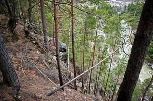 scogliera rocciosa nella foresta verde delle montagne dei Carpazi. foto