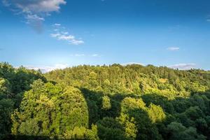 paesaggio forestale con cielo foto