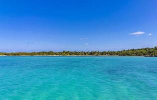 bellissima spiaggia tropicale naturale e panorama forestale Contoy Island in Messico. foto