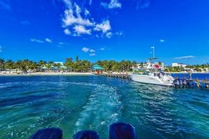 cancun quintana roo mexico 2022 gita in barca da cancun messico all'isola di mujeres contoy squalo balena. foto