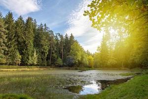 lago forestale in autunno foto