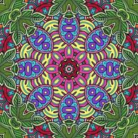 mandala colorato fiori modello boho simmetrico 339 foto