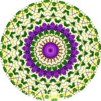 mandala colorato. ornamento rotondo decorativo. isolato su sfondo bianco. motivi arabi, indiani, ottomani. per biglietti, inviti foto