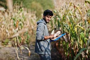 agronomo dell'Asia meridionale che ispeziona l'azienda agricola del campo di mais. concetto di produzione agricola. foto