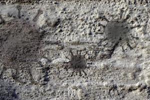 vecchie strutture di pietra e roccia con visualizzazione di alcuni virus fossili foto