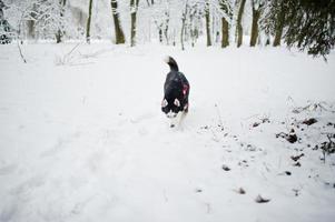 cane husky al guinzaglio che cammina al parco in una giornata invernale. foto