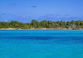 bellissima spiaggia tropicale naturale e panorama forestale Contoy Island in Messico. foto