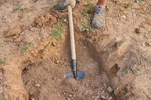 il giardiniere fa una buca nel terreno per piantare alberi foto