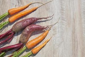 barbabietola e carota organiche nostrane appena raccolte sulla tavola di legno. vista dall'alto, copia spazio. foto