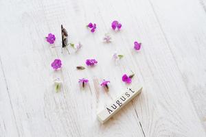 vista dall'alto del calendario in legno con segno di agosto, farfalla e fiori rosa. foto