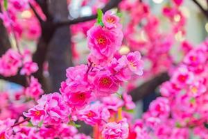 albero di ciliegio rosa in fiore atrificiale, sfondo naturale. foto