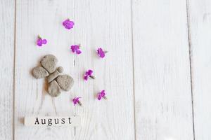 vista dall'alto del calendario in legno con segno di agosto, farfalla di argilla e fiori rosa. foto