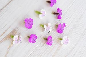 fiori di chamaenerion su fondo di legno bianco foto