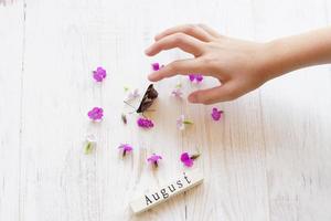 farfalla che tocca la mano del bambino. fondo di legno con il segno di agosto ed i fiori dell'erba del salice foto