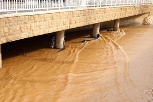 haifa israele 1 aprile 2019. grande ponte stradale attraverso il fiume. foto