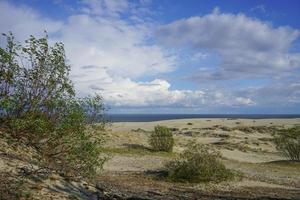 paesaggio marino del mar baltico con dune di sabbia costiera della lingua dei curoni. foto