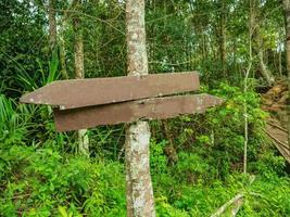 guida inviare nel khao luang montagna nel ramkhamhaeng nazionale parco, sukhothai Provincia Tailandia foto