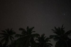 immagine silhouette di alberi di cocco e cielo notturno. foto