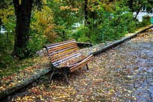 vuoto solitario panchina con le foglie nel autunno parco foto