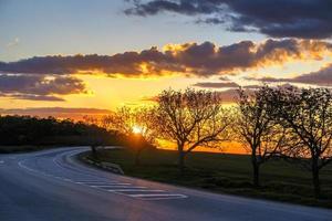 vuoto asfalto strada e alberi a colorato tramonto foto