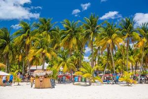 Cocos Beach bar su una spiaggia con sabbia bianca e palme in una giornata di sole, isola di Isla Mujeres, Mar dei Caraibi, Cancun, Yucatan, Messico