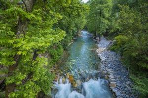 montagna fiume ruscello cascata verde foresta paesaggio natura pianta albero foresta pluviale giungla foto