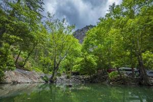 montagna fiume ruscello cascata verde foresta paesaggio natura pianta albero foresta pluviale giungla foto