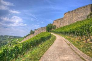 pietra parete di marienberg fortezza castello attraverso uva per wur foto