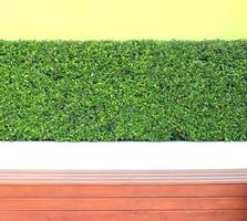 verticale giardino verde le foglie parete o albero recinto per sfondo foto