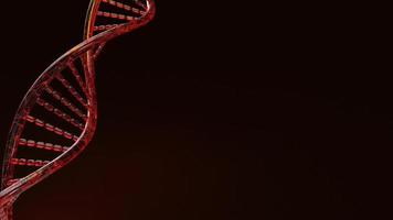 rendering 3d del dna rosso su sfondo nero per contenuti scientifici. foto