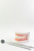 il modello del dente su sfondo bianco per il contenuto dentale. foto