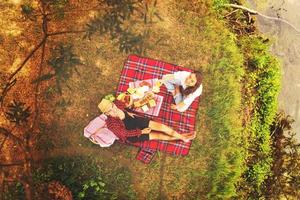 vista dall'alto delle coppie che si godono il picnic foto